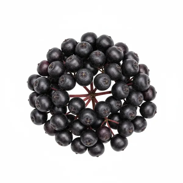 დიდგულას ნაყოფი