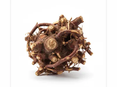 ელეუტეროკოკის ფესვი საკვებ დანამატებში