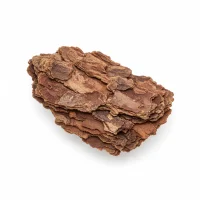 ხეჭრელის ქერქი, Frangula alnus Cortex, ყაბზობის სამკურნალო მცენარე