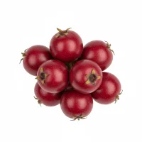 კუნელის ნაყოფი - სამკურნალო მცენარე