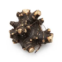 ლაშქარას ფესვი (Symphytum officinale) - სამკურნალო მცენარე