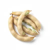 ლობიოს ჩენჩო, Phaseoli pericarpium, სამკურნალო მცენარე