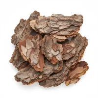 მუხის ქერქი სამკურნალო გამოყენებისთვის