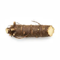 ოროვანდის ფესვის თითები, მზად გამოსაყენებლად.