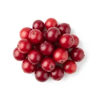 შტოშის ნაყოფი, წითელი შტოში