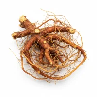 თაგვისარას ფესვი - Ruscus aculeatus radix