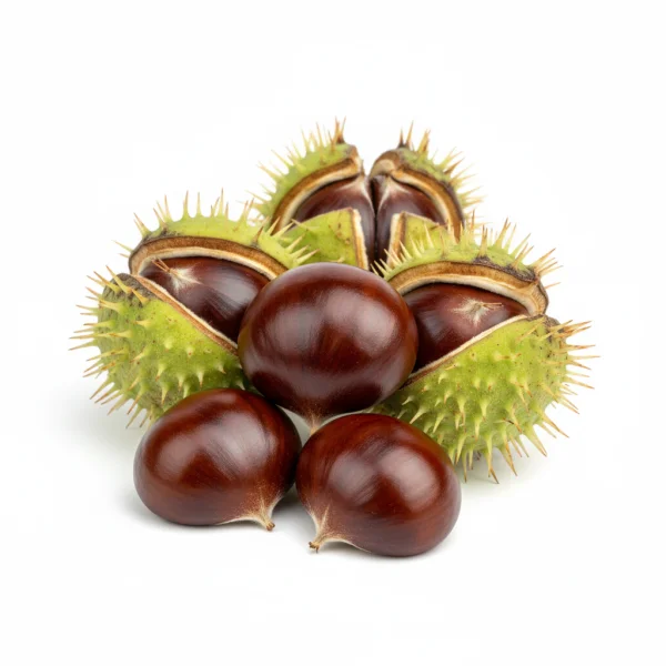 ცხენისწაბლას ნაყოფი